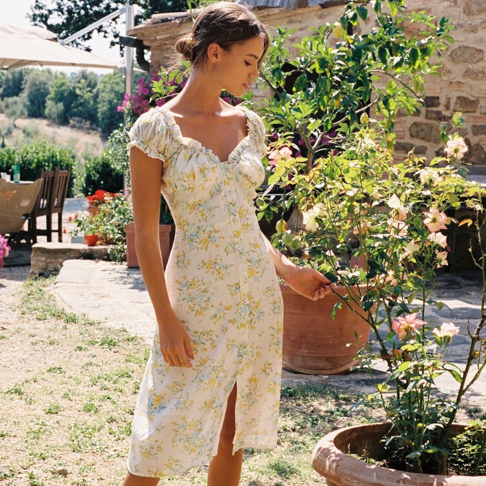 NWT With Jèan Emelie Dress | Camellia